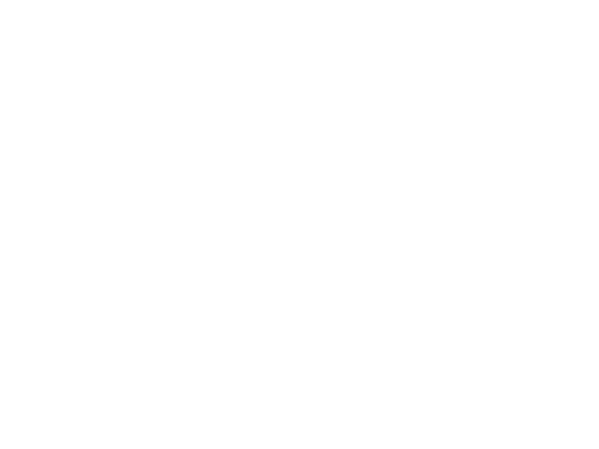 The DowntownDC BID